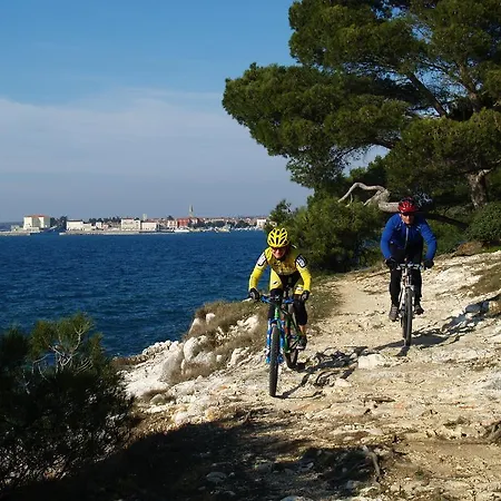 Villa Mihaela Porec Holiday Apartments Apartmán *