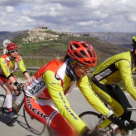 Villa Mihaela Porec Holiday Apartments Apartmán Poreč