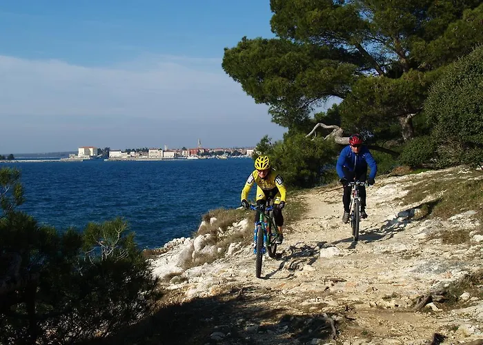 Villa Mihaela Porec Holiday Apartments Daire *