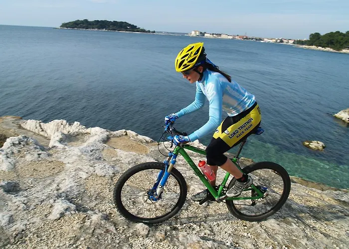 アパート アパートメンツ ヴィラ ミハエラ ポレッチ