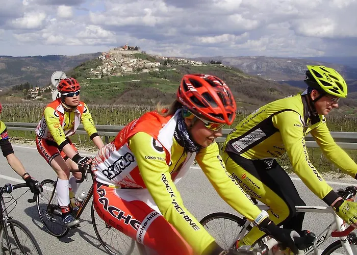 Villa Mihaela Porec Holiday Apartments Daire Poreč